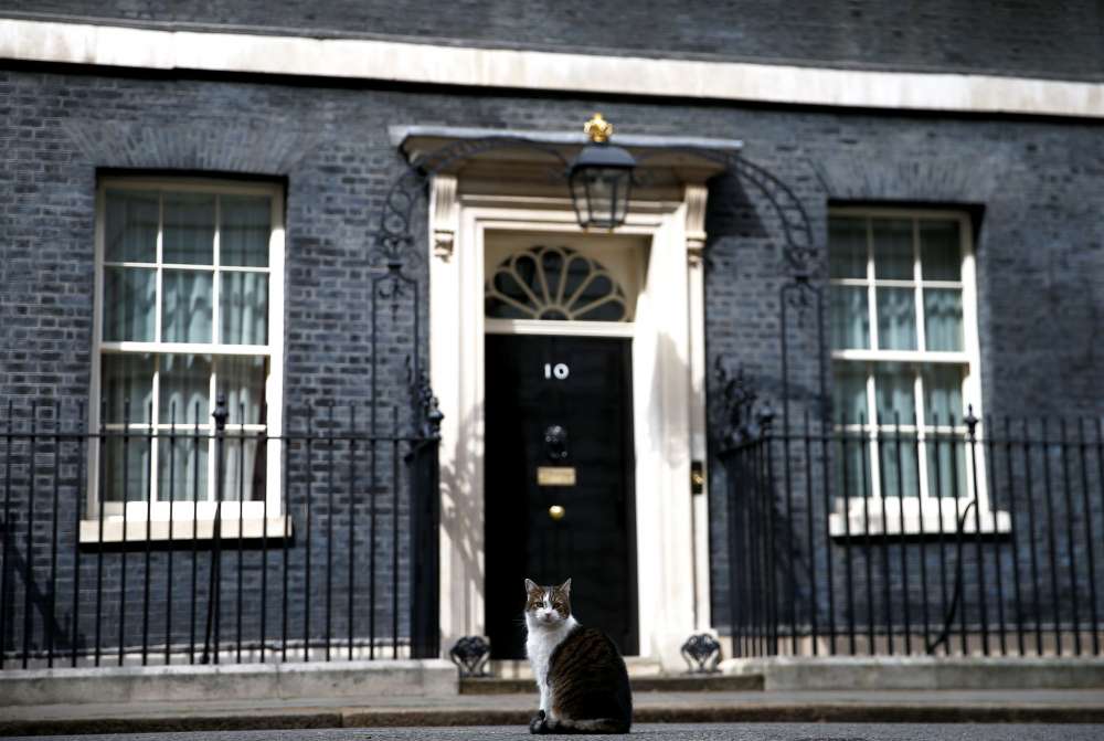 British PM Johnson eyes key appointment: A Downing Street dog