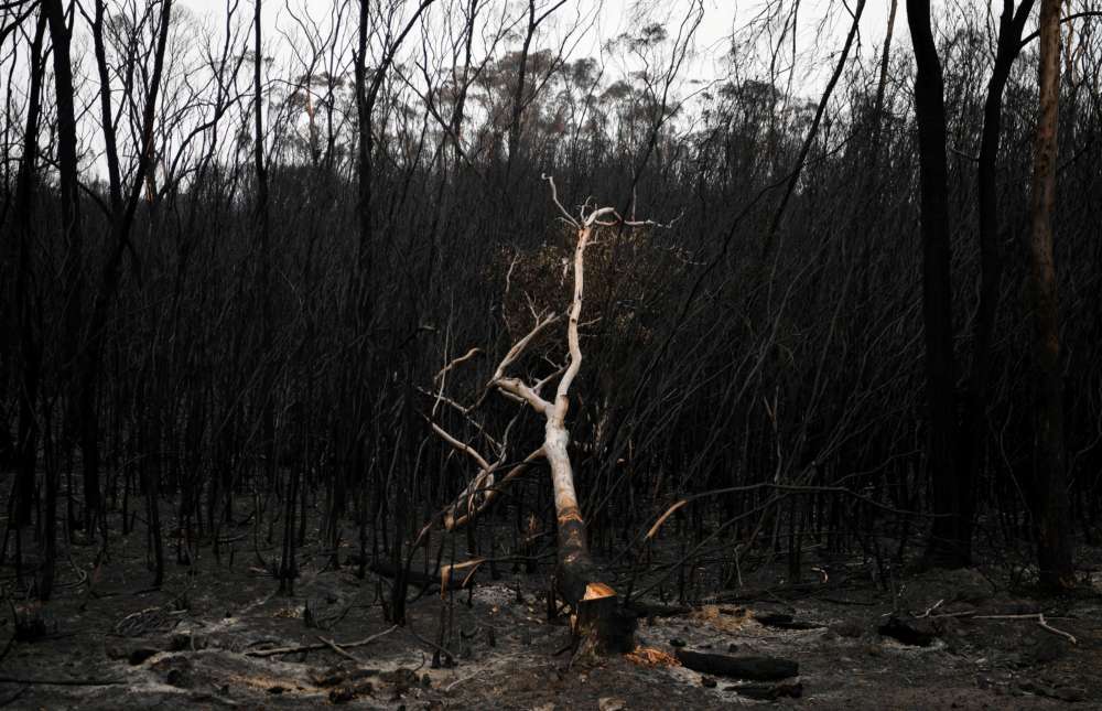 Australian PM proposes high-powered inquiry into bushfires response