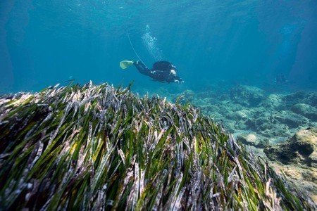 Akrotiri-Dreamer's Bay underwater survey confirms shipwreck (photos)