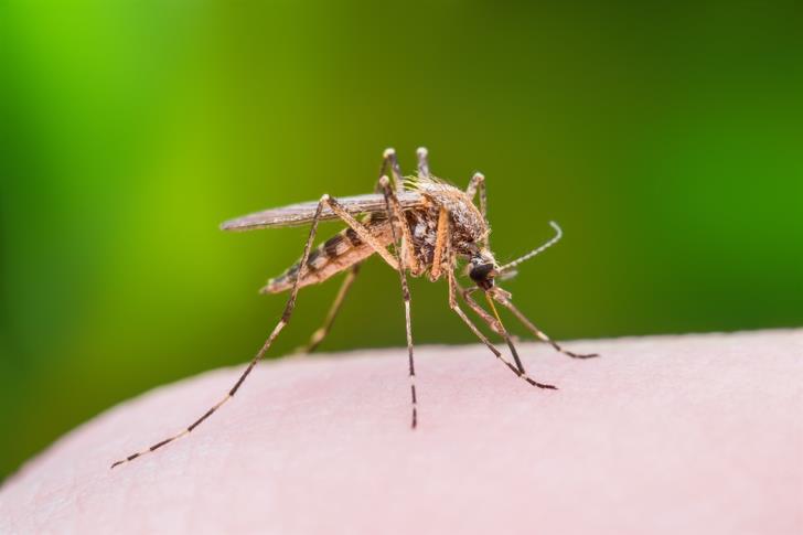 Cooperation to fight West Nile virus in buffer zone
