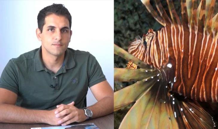 What is the lion fish? How did it end up in the sea off Cyprus and why does it pose a threat?