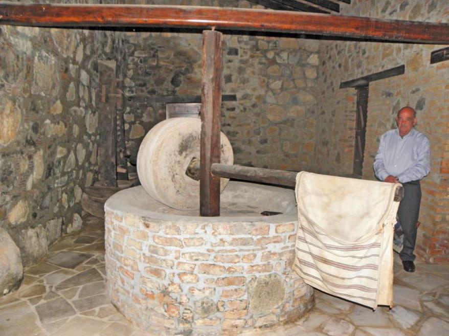 Agridia Olive – Mill