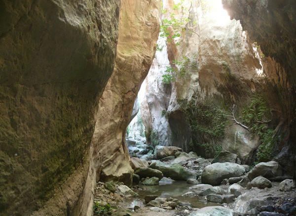 Paphos: Tourist injured in Avakas Gorge