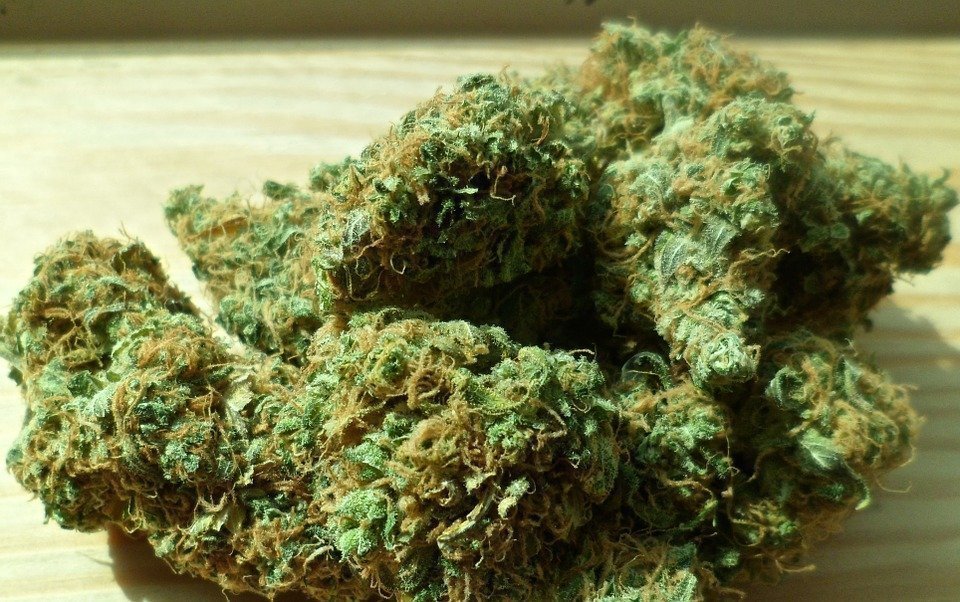 Parliament legalises medical cannabis