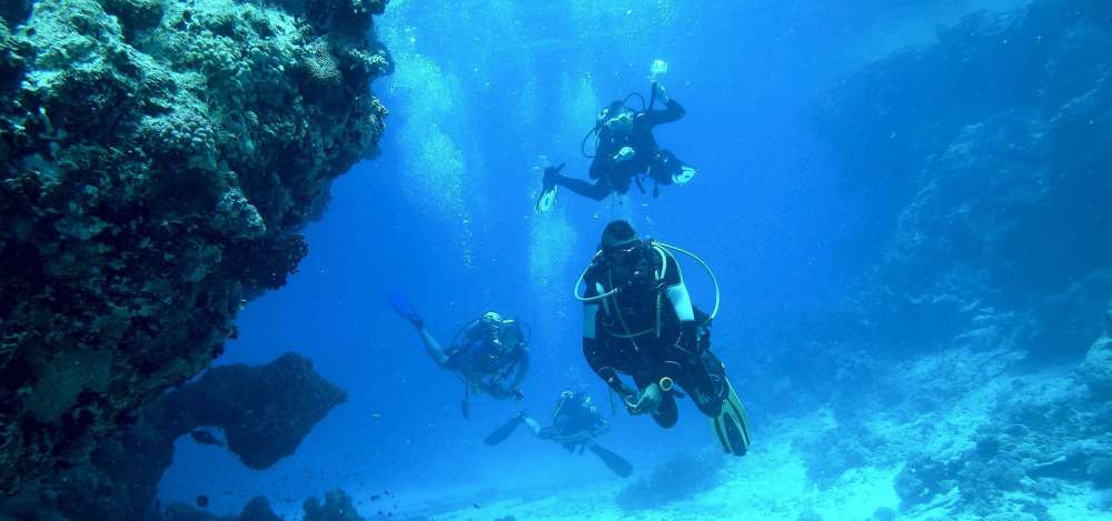Diving in Paphos