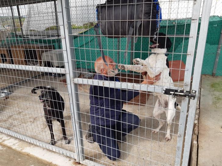 Briton’s 5day in dog cage starts (photos