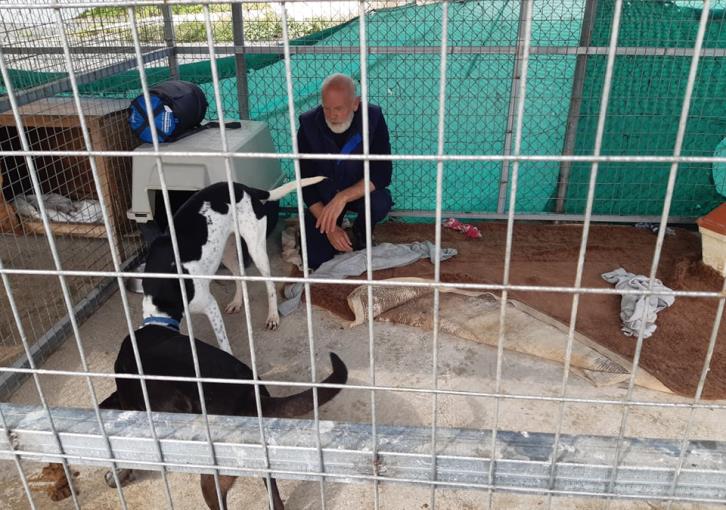 Briton's 5-day 'accommodation' in dog cage starts (photos