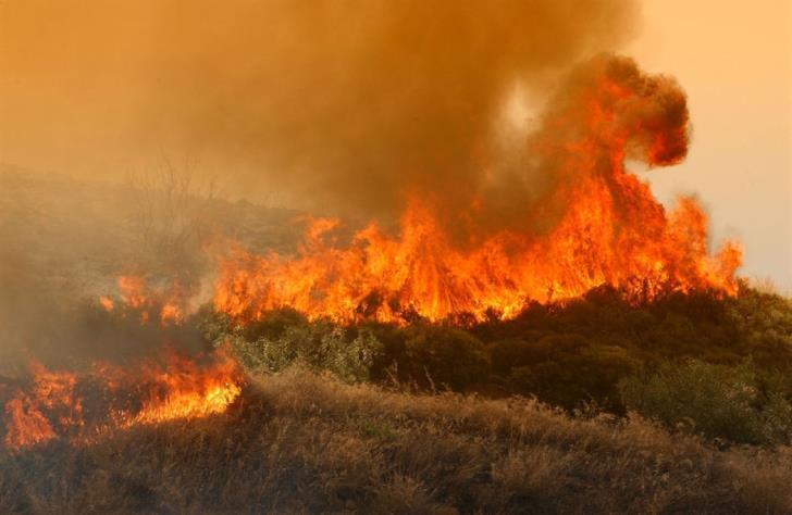 Seven fire-fighting vehicles operating to extinguish Xylofagou blaze