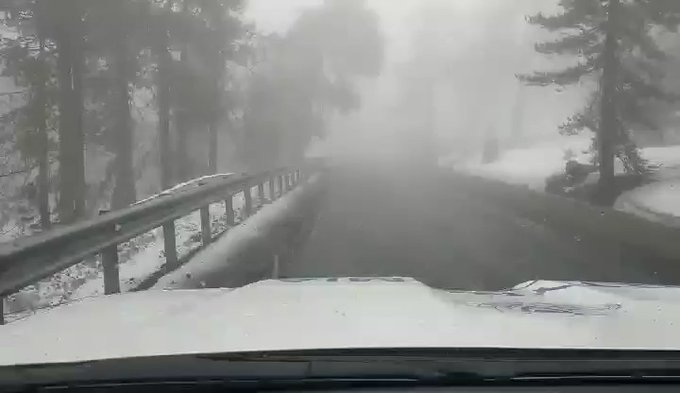 Thick fog in Troodos area
