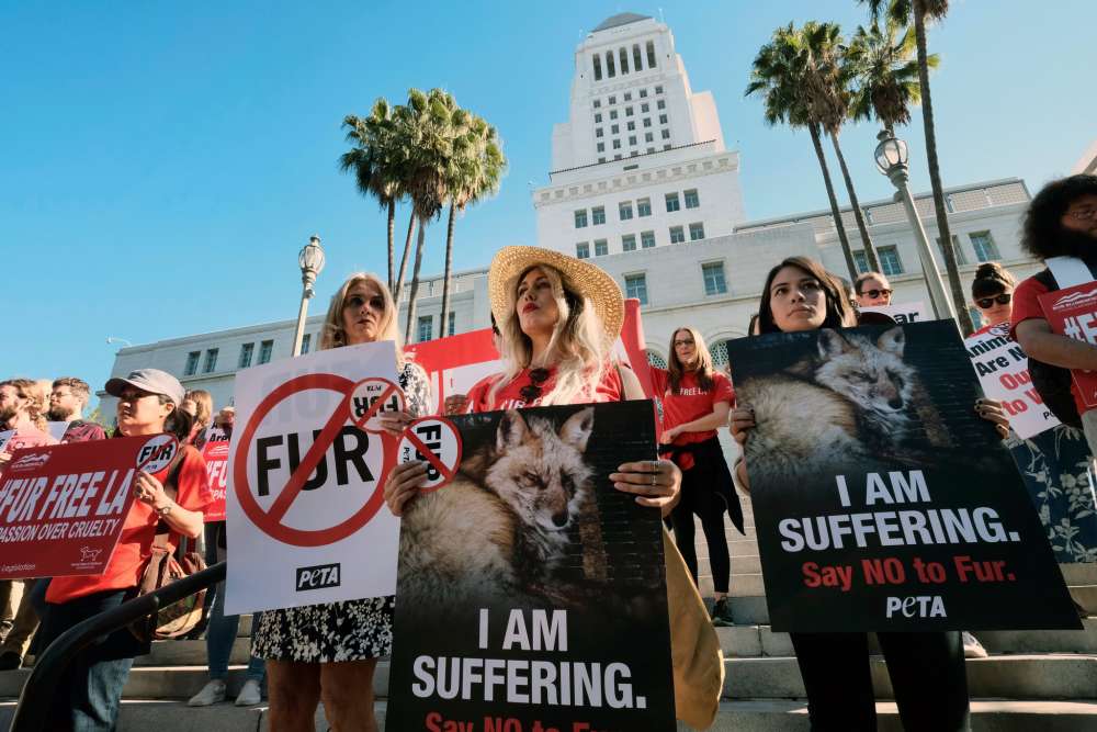 BREAKING: Los Angeles Becomes Largest U.S. City to Ban Fur Sales