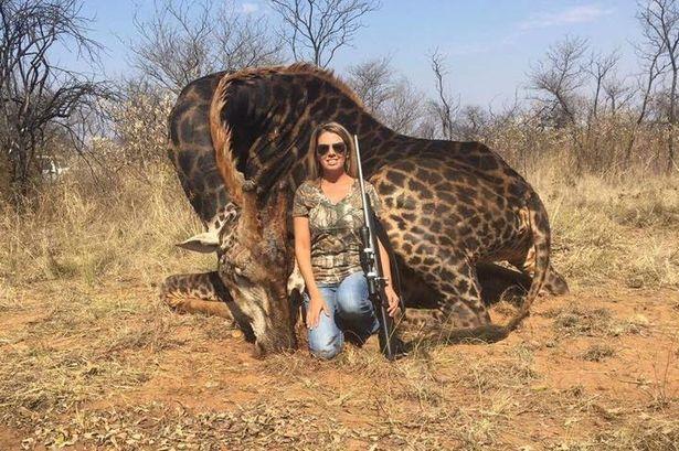 Outrage over US woman posing with slain giraffe
