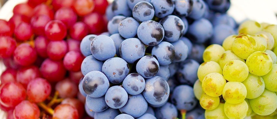 Grapes, Ripe, Harvest, Wine, Fruit, Sweet, Vitamins
