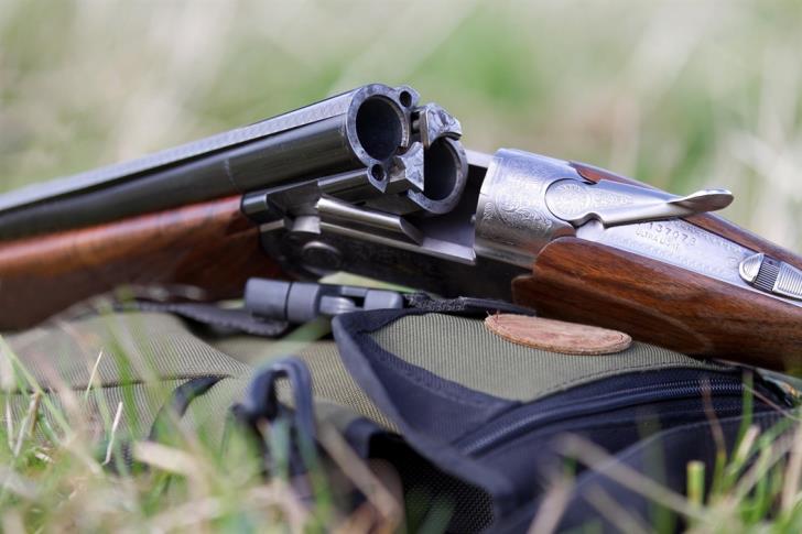 Cabinet approves bill introducing tougher gun controls