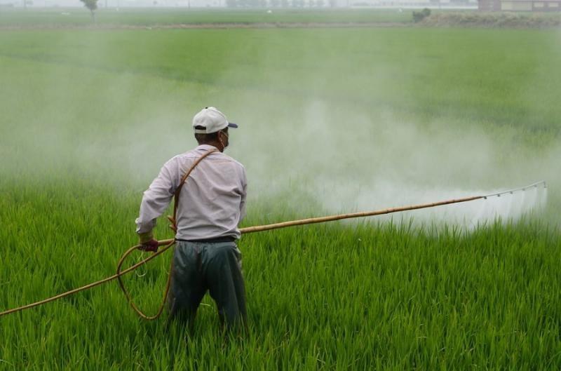 Oikoagrotikos farmers association calls for end to use of herbicides