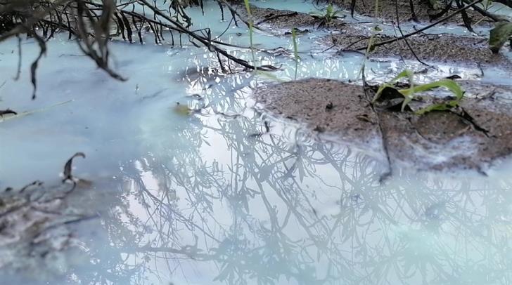 Kalavasos dam: Dangerous waste flows into drinking water (photos)