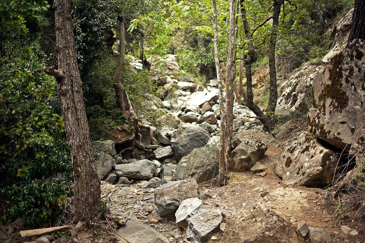 Kalidonia (Linear) Natural Trail