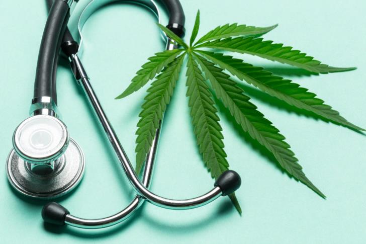 Cabinet approves committee to vet applications from medical cannabis producers