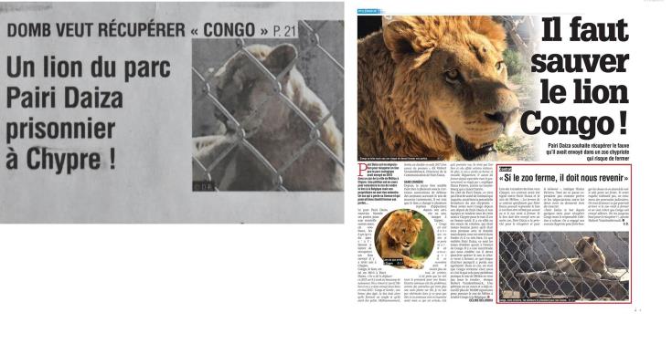 European animals rights group starts petition to remove lion from Melios Zoo