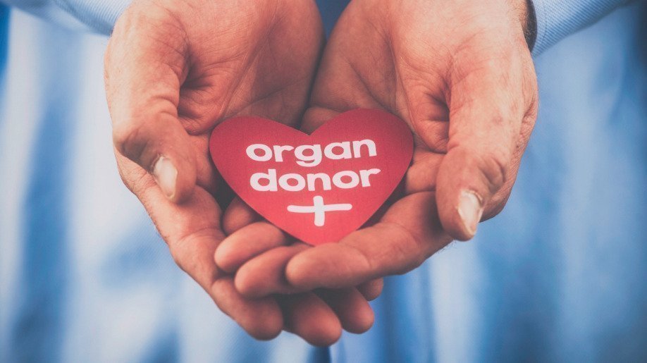 Option to register for organ donation on driver's license application