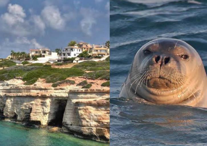 Fireworks disrupting seals in Peyia sea caves - Green Party