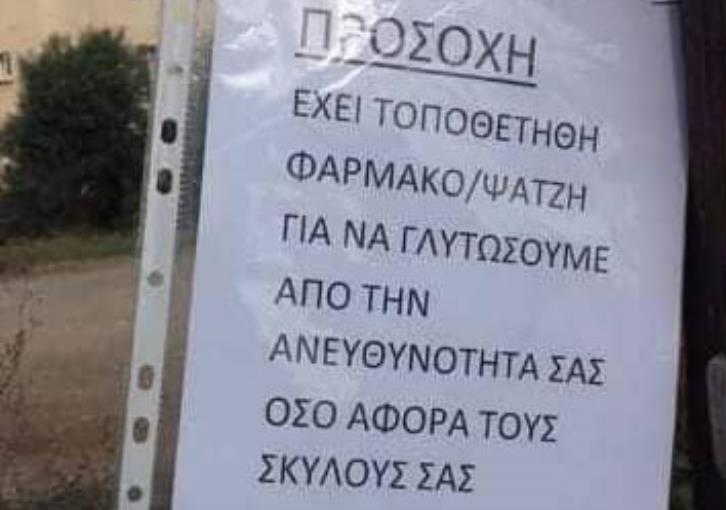 Animal lovers outraged over poison 'warning' on Paphos street
