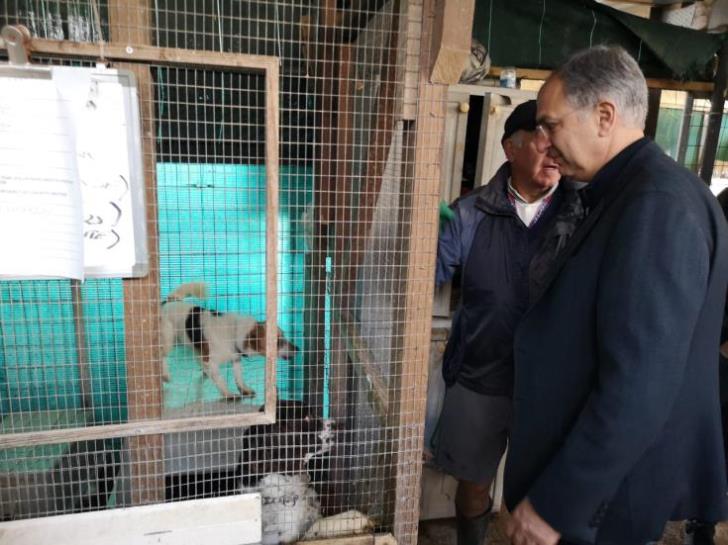 State to donate land for animal shelter in Paralimni