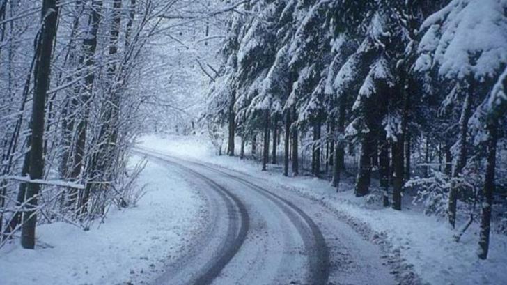 Police update 2: Roads to Troodos open for 4x4