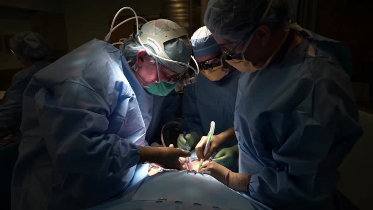 U.s. Surgeons Successfully Test Pig Kidney Transplant In Human Patient