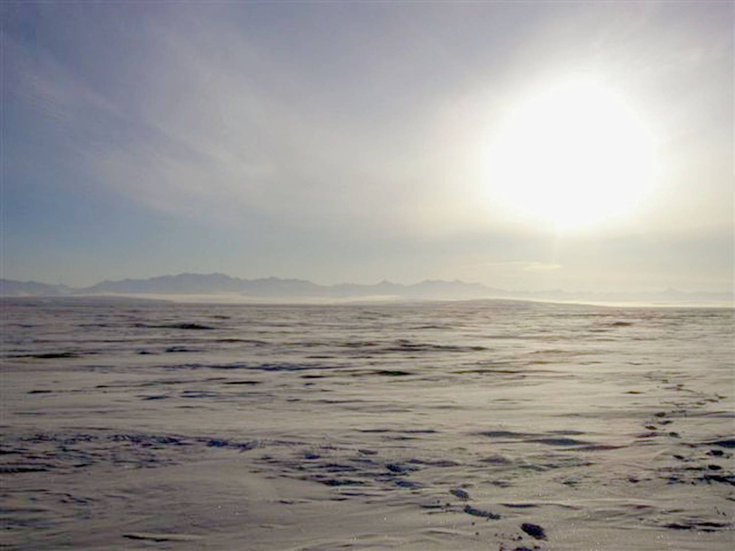 File Photo: Coastal Plain Of The 1002 Area Is Seen Within The Arctic National Wildlife Refuge