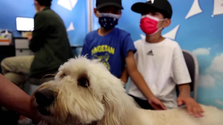 Meet Ollie The Comfort Dog, Helping Kids With Vaccine Hesitancy In California
