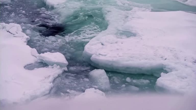 U.n. Agency Confirms 2020 Arctic Heat Record