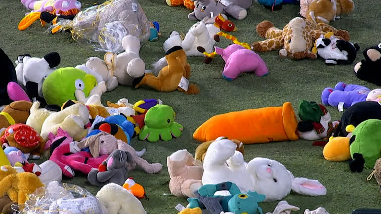 Real Betis Fans Throw Stuffed Toys On To Pitch For Children In Need