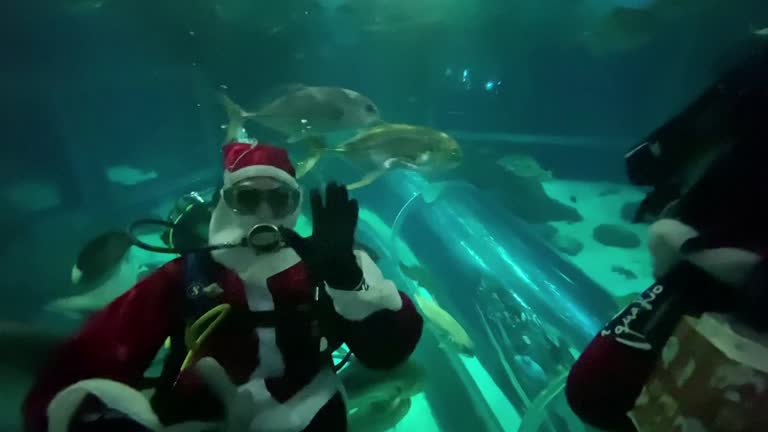 Santa Swims Among Sharks In Rio's Aquarium