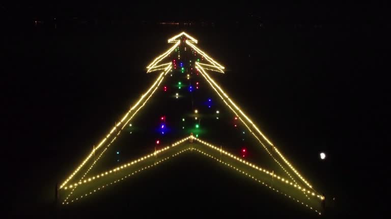 Drone Captures Moon Casting Magical Light Over Christmas Tree On Italian Lake