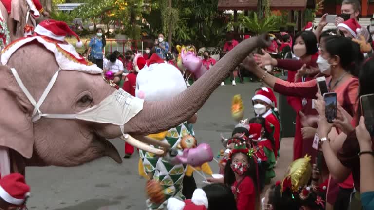 Santas On Elephants Send Thai School Kids Face Masks, Hand Sanitiser