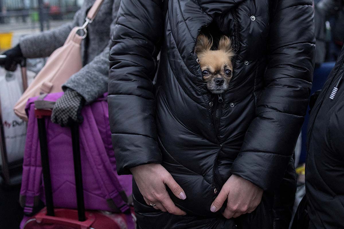 A Refugee Holds Her Dog As They Queue For Trains To Poland Following The Russian Invasion Of Ukraine, At The Train Station In Lviv