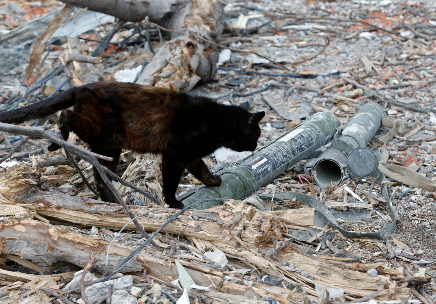 A Cat Walks On Used Disposable Rocket Launchers In Mariupol