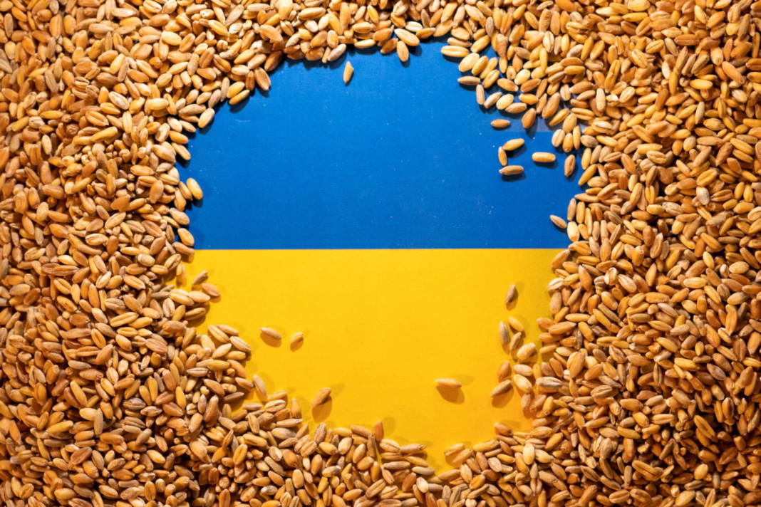 File Photo: File Photo: Illustration Shows Ukrainian Flag And Grain
