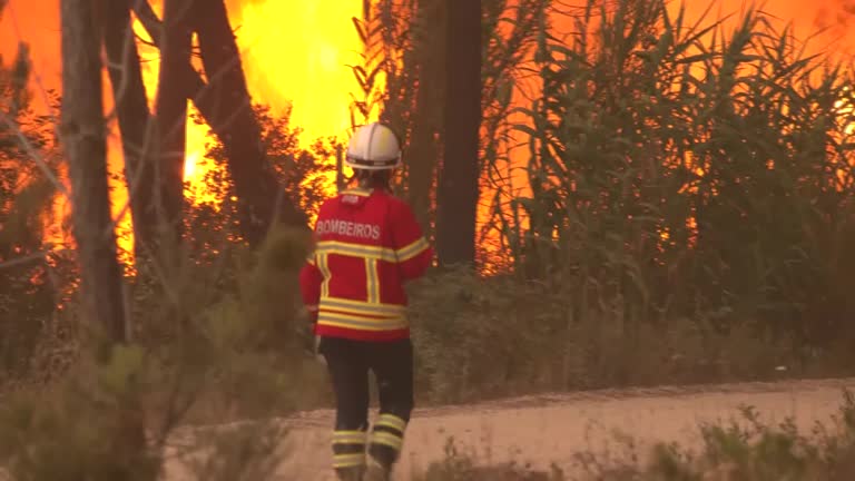 Firefighters Scramble To Put Out Flames In Heatwave Hit Portugal