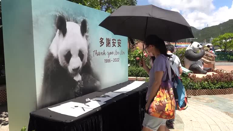 World's 'longest Living' Male Giant Panda, An An, Dies At 35