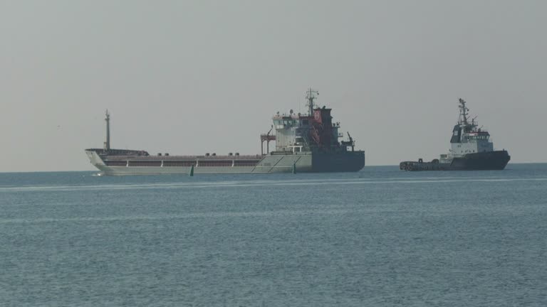 Three New Ships With Grain Leave Ukraine Under Landmark Deal