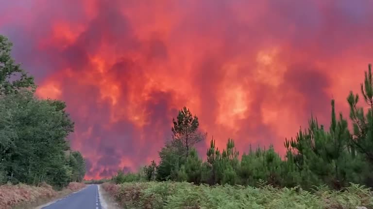 Wildfires Ablaze In Gironde, France