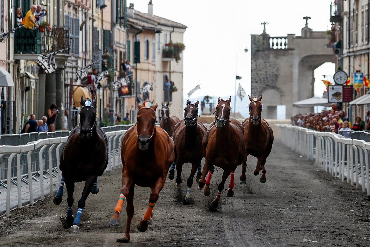 Riderless Horses Race In The Ancient Town Of Ronciglione
