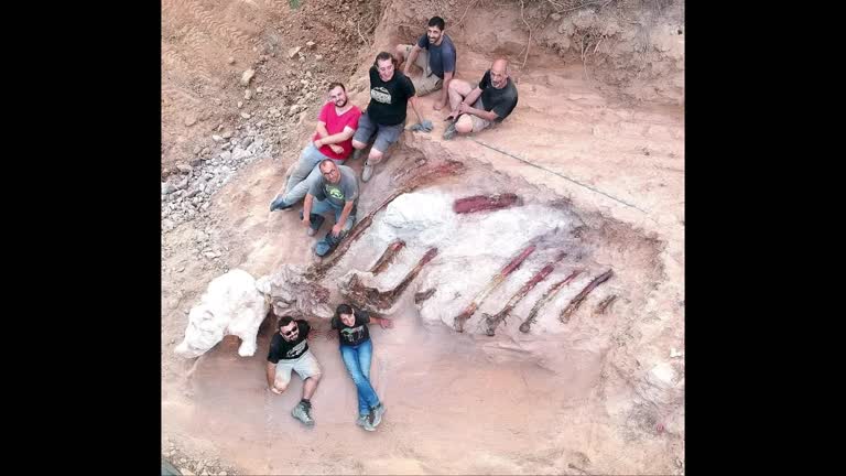 Portugal Palaeontologists 25 Metre Dinosaur Unearth Back Garden