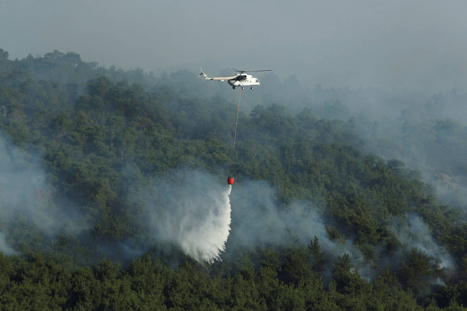 Wildfire In The Dadia National Park, In The Region Of Evros