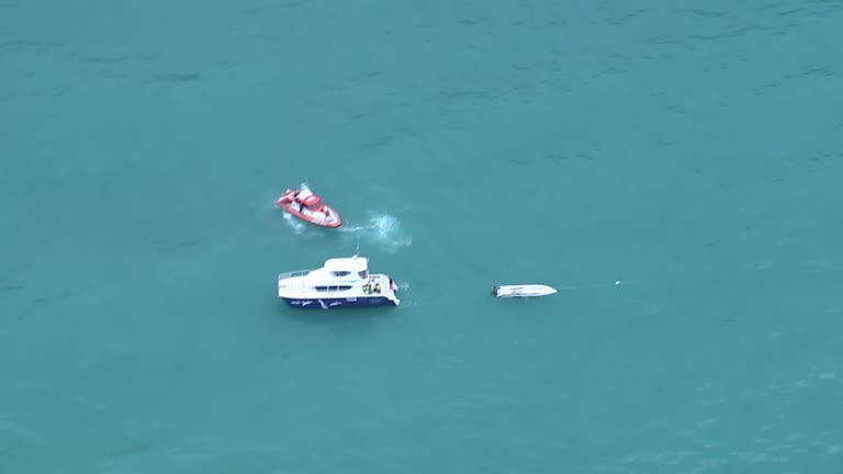 Five Dead In New Zealand In Boating Accident After Potential Whale Collision