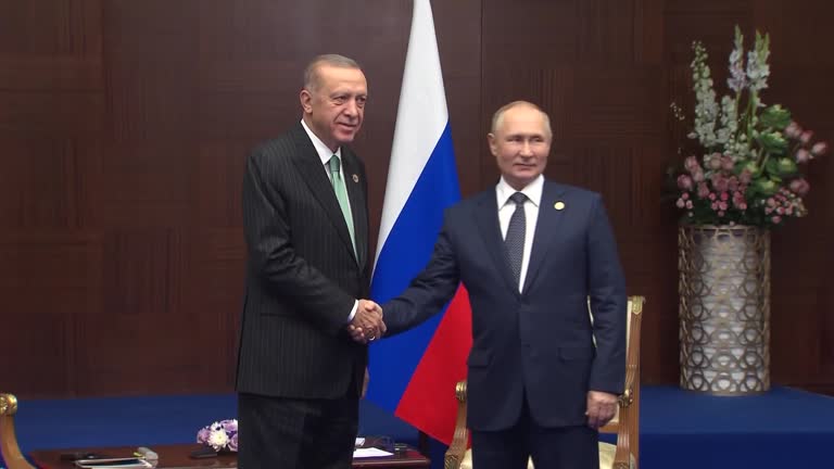 Putin Puts 'gas Hub' Plan To Turkey's Erdogan