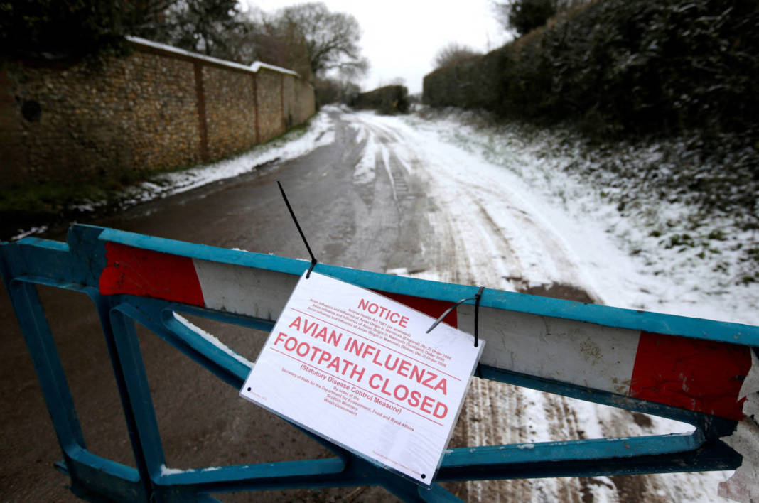 File Photo: A Closed Road Leading To A Chicken Farm Is Seen After An Outbreak Of Bird Flu In The Village Of Upham