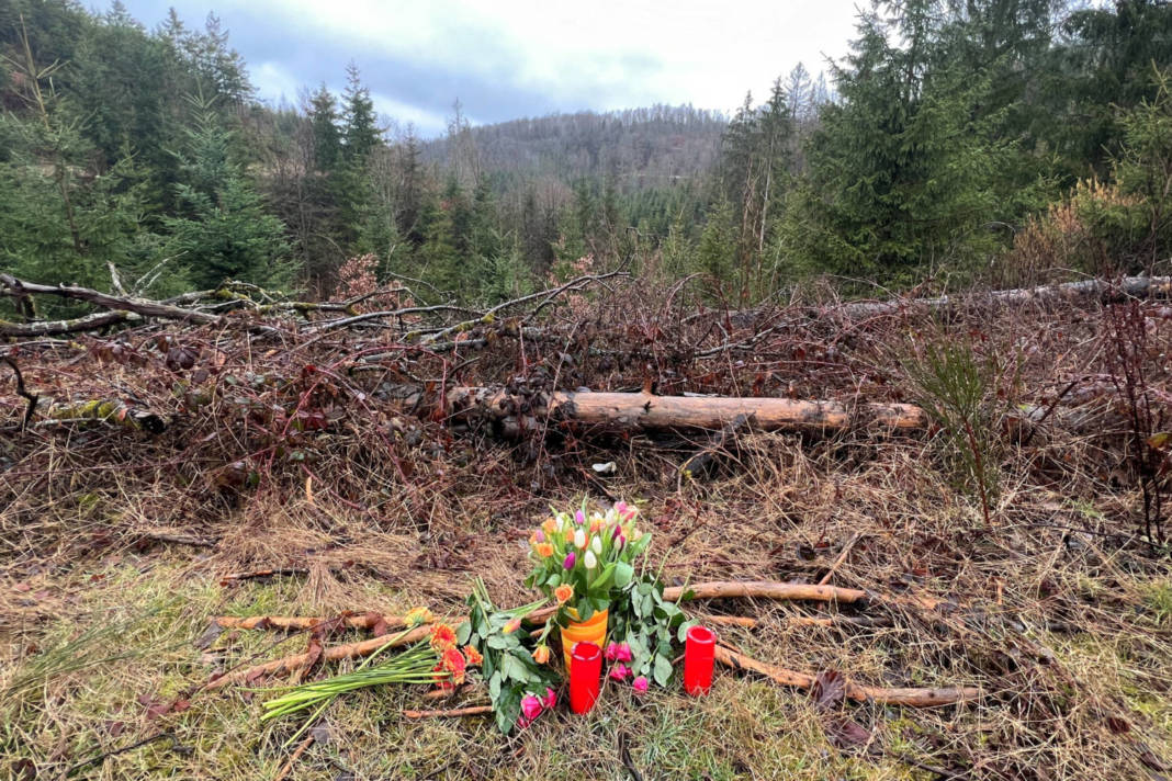 12 Year Old Schoolgirl Luise Found Dead In A Woodland In Hohenhain