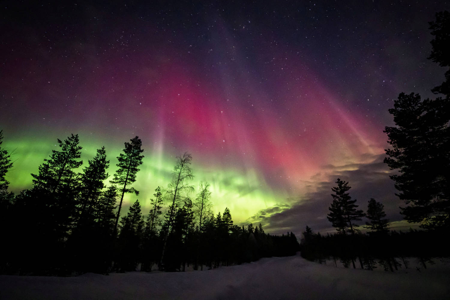 Red, Green And White Northern Lights Dance Across Lapland Sky